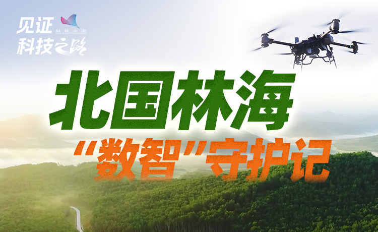 北国林?！笆恰笔鼗ぜ?/><p>北国林?！笆恰笔鼗ぜ?/p></div>
<div   id=